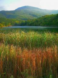 Богатир з panoramio.com