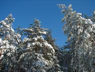 Авдіївка - Останні фото