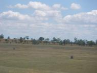 Володимирівка - Останні фото