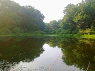 Приліпка з panoramio.com