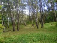Петрове з panoramio.com