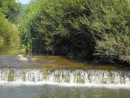 Стричава з panoramio.com