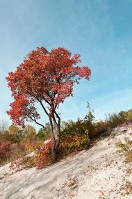 Тетянівка з panoramio.com (ч.2)