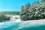 Сазоно-Баланівка з panoramio.com