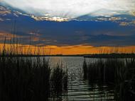 Вільний Посад з panoramio.com