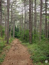 Високогірне з panoramio.com