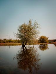 Серебрянка з panoramio.com