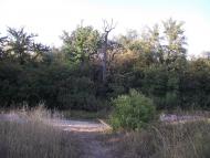 Глибочка з panoramio.com