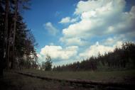 Терентіївка з panoramio.com