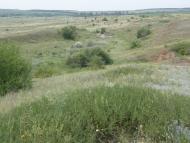 Новозванівка з panoramio.com