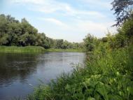 Синичине з panoramio.com