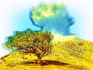 Кизилове з panoramio.com