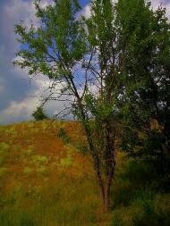 Голубинка з panoramio.com