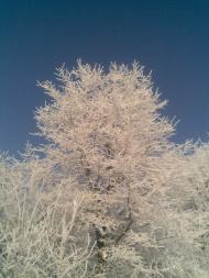 Пальчик з panoramio.com