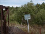 Максимовичі - Останні фото