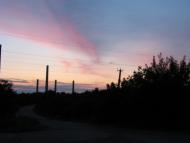 Миколаївка з panoramio.com (ч.2)