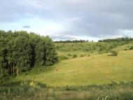 Ями - Останні фото