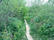 Джурин з panoramio.com