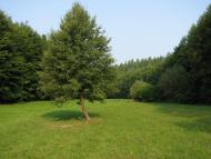 Біще - Останні фото