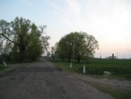 Кузьки - Останні фото