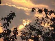 Снятин - Останні фото