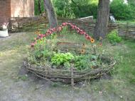 Кияшки з panoramio.com