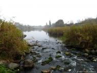 Вільне з panoramio.com