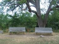 Масандра з panoramio.com