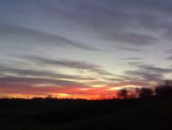 Мачухи з panoramio.com