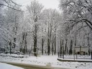 Коломия з panoramio.com