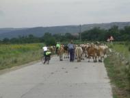 Липчани - Останні фото