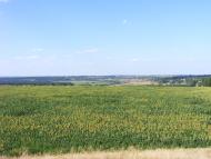 Грузьке з panoramio.com