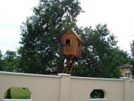 Соломоново з panoramio.com (ч.2)