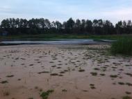 Слоут з panoramio.com