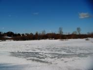 Новоугрузьке з panoramio.com