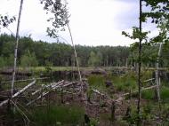 Нова Рудня з panoramio.com