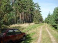 Хаєнки - Останні фото