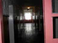 Дігтярі - Останні фото