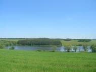 Бовкун - Останні фото