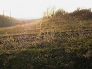 Домниця з panoramio.com