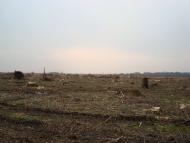 Новоукраїнка з panoramio.com