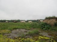 Горностаївка з panoramio.com