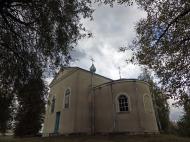 Лебединці з panoramio.com