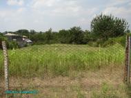 Брилівка з panoramio.com