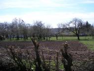 Сатанівка - Останні фото