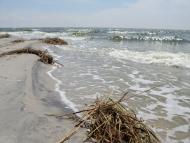 Білосарайська Коса з panoramio.com