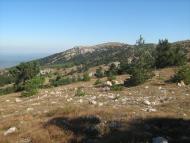 Відрадне з panoramio.com