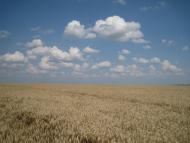 Андріївка з panoramio.com