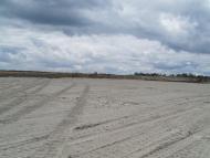 Волошине - Останні фото