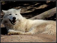 Колоденка з panoramio.com